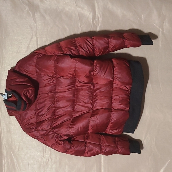 Lee Hanton Winter Puffer Jacket - Picture 4 of 4